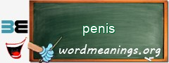 WordMeaning blackboard for penis